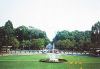 戦証博物館